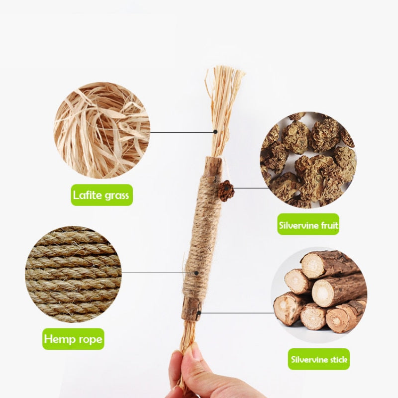 Cat Toys Chew Stick Pet Snacks Sticks Natural Stuff with Catnip for Kitten Cats Cleaning Teeth Cat Accessories