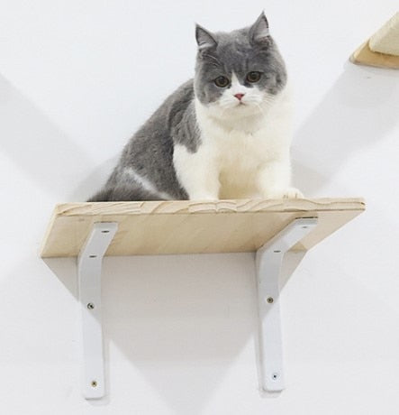 Wall Mounted Cat Climbing Frame DIY Pine Solid Wood Cat Hanging Bed Jumping Platform Cat Scratching Climbing Post Pet Furniture