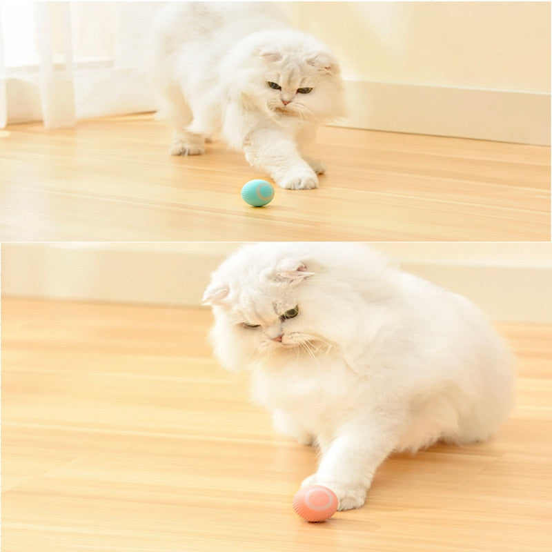 Training Self-moving Kitten Electric Cat Ball Toys Automatic Rolling Smart Cat Toys for Cats Toys for Indoor Interactive Playing