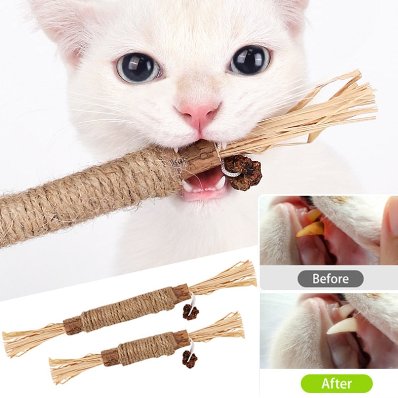 Cat Toys Chew Stick Pet Snacks Sticks Natural Stuff with Catnip for Kitten Cats Cleaning Teeth Cat Accessories