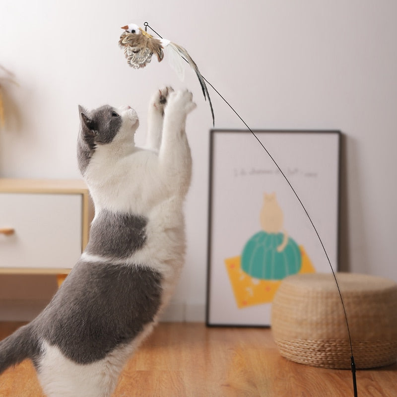 Simulation Bird interactive Cat Toy Funny Feather Bird with Bell Cat Stick Toy for Kitten Playing Teaser Wand Toy Cat Supplies