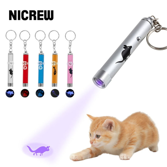 Portable Cat Laser Pointer Toys Training Interactive Cat Magnet with Bright Footprints Fish Mice